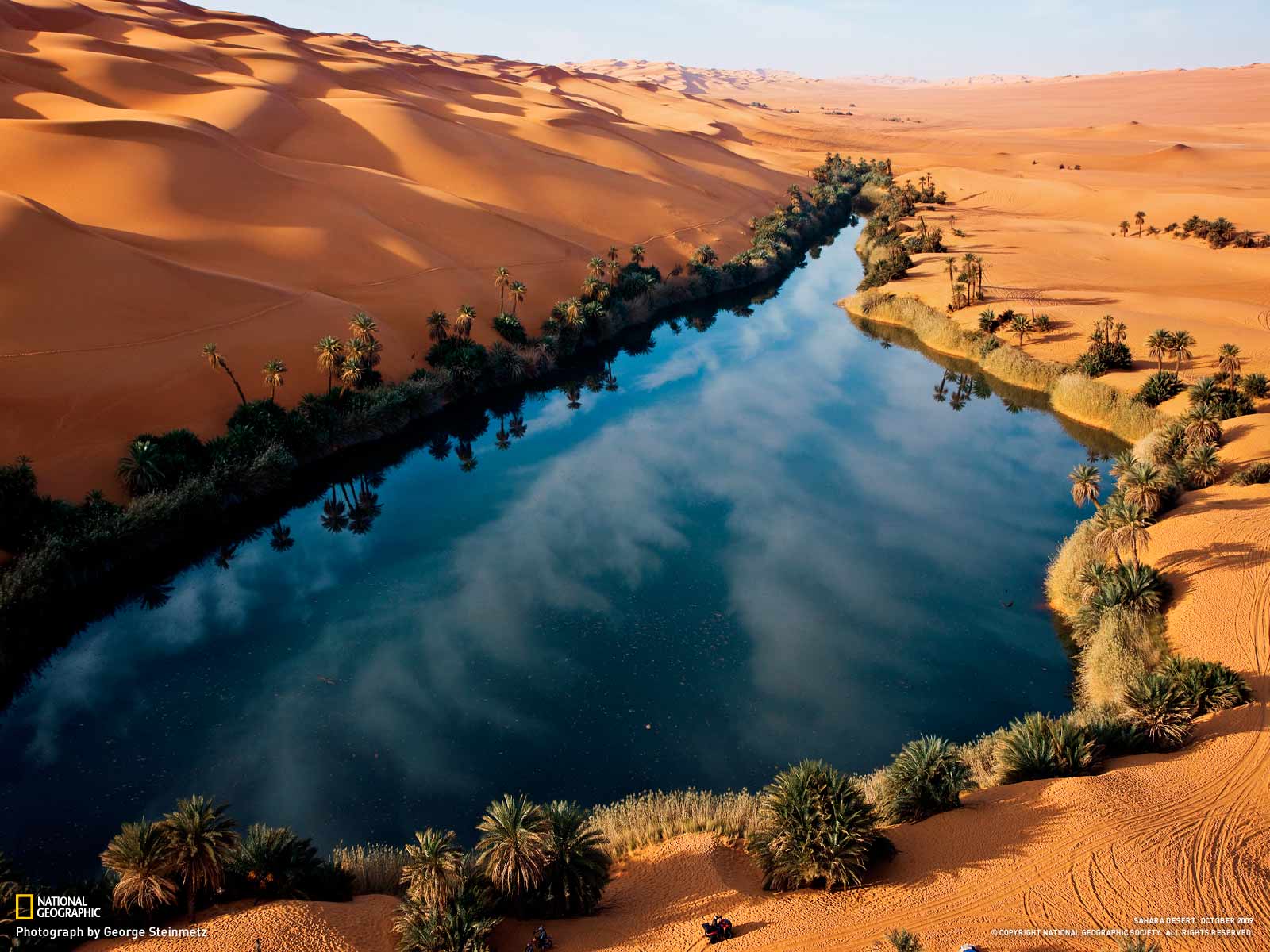 An oasis in the Sahara desert Travel   Sahara Namib Goby and