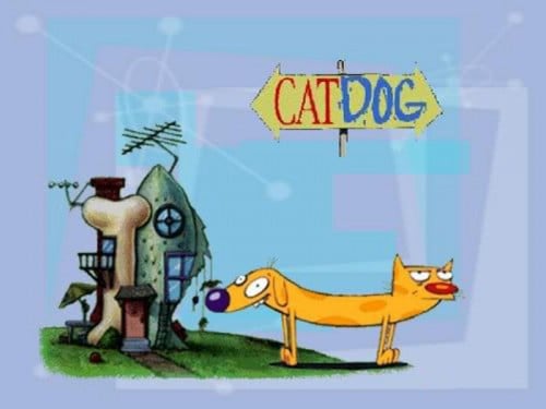 Free download Cartoon Network Launches Oggy Cockroaches Indiamatic  [500x375] for your Desktop, Mobile & Tablet | Explore 98+ CatDog Wallpapers  |