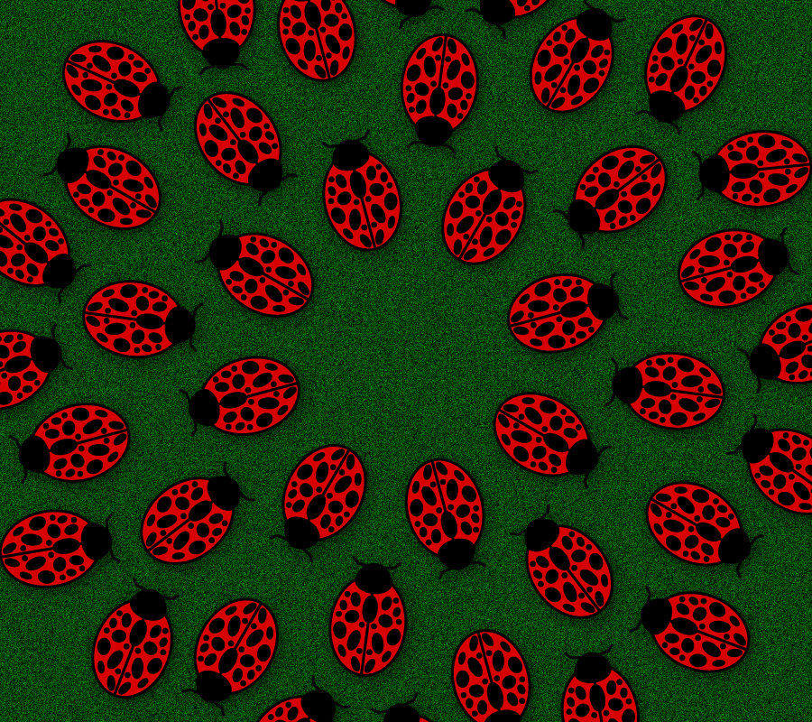 Ladybug Wallpaper By Capt2001