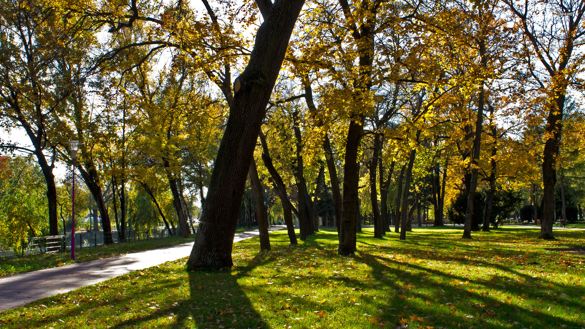 Sunny Autumn Day In The Park Wallpaper