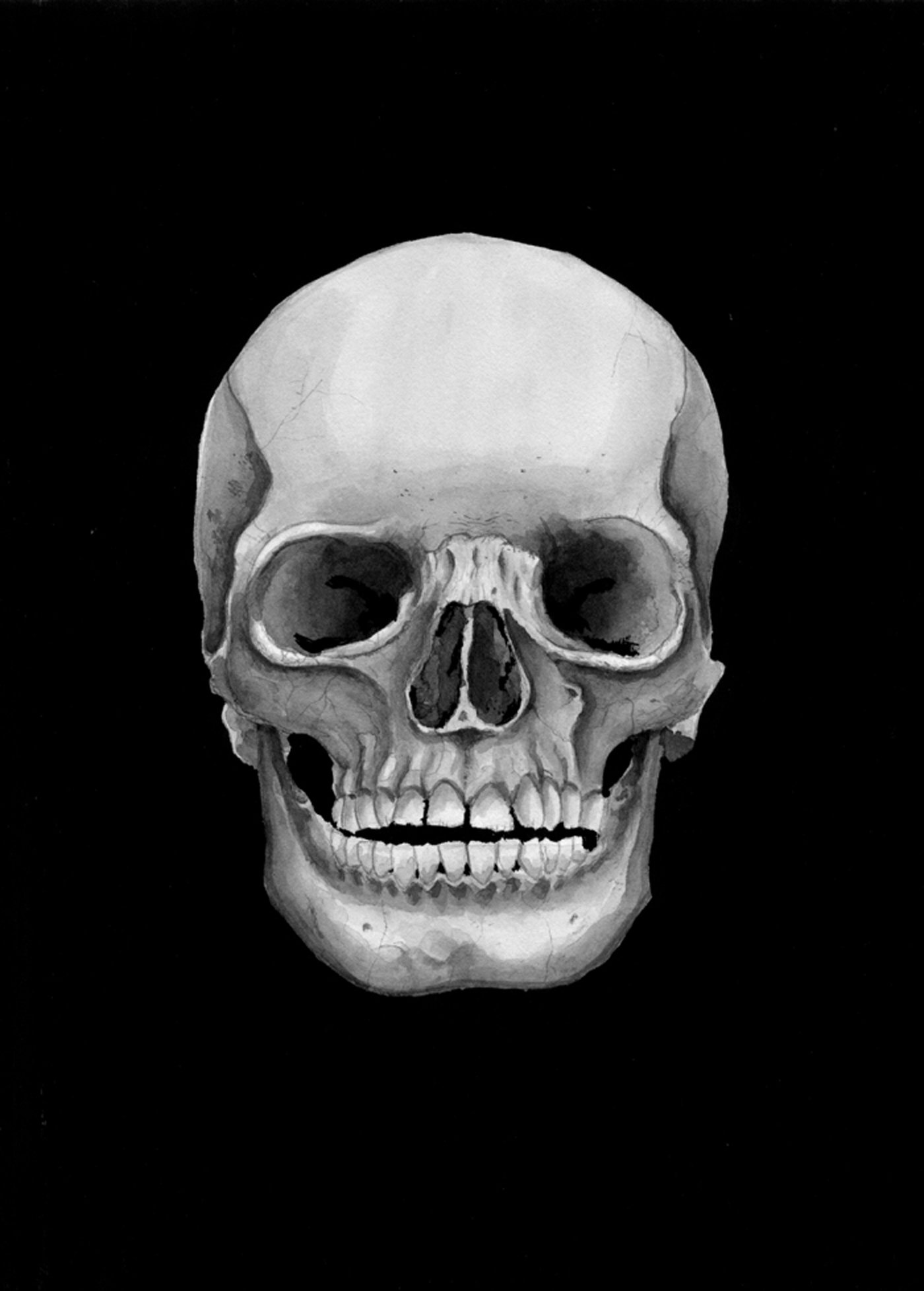 Skull Head By Mercenariojim