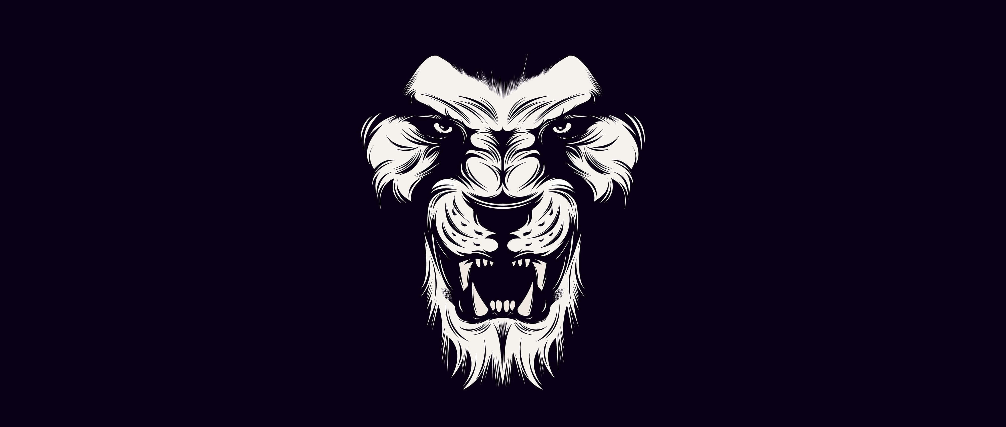 Black And White Lion Wallpaper