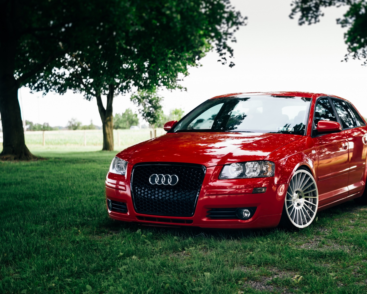 Download wallpaper 1280x1024 audi a3 red front view auto grass 1280x1024