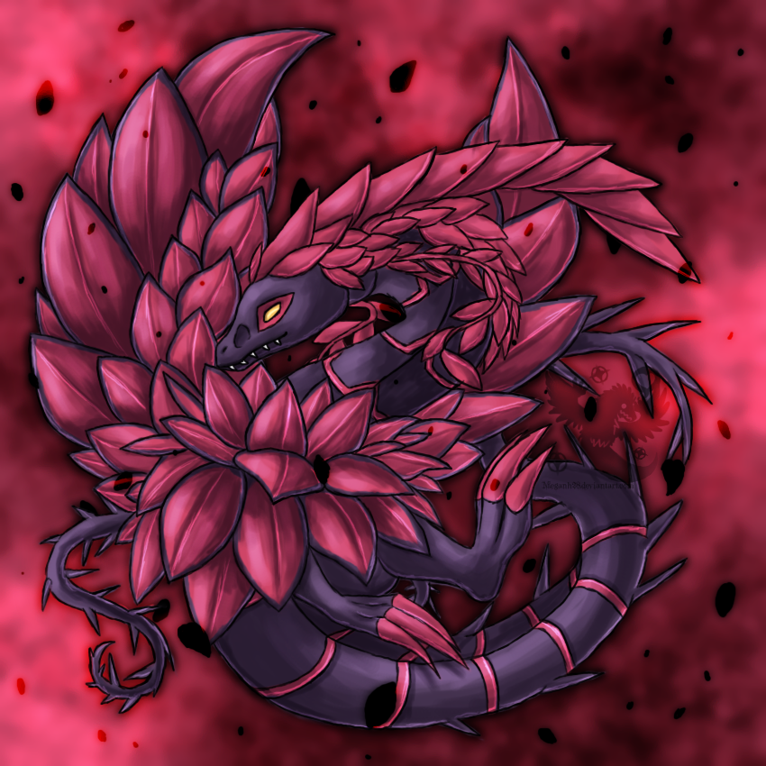 Black Rose Dragon Wallpaper By
