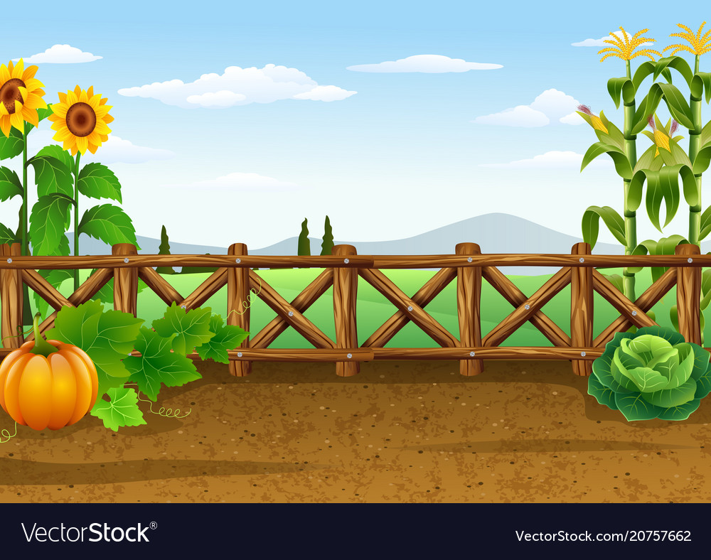 Farm Background With Various Plant Royalty Vector Image