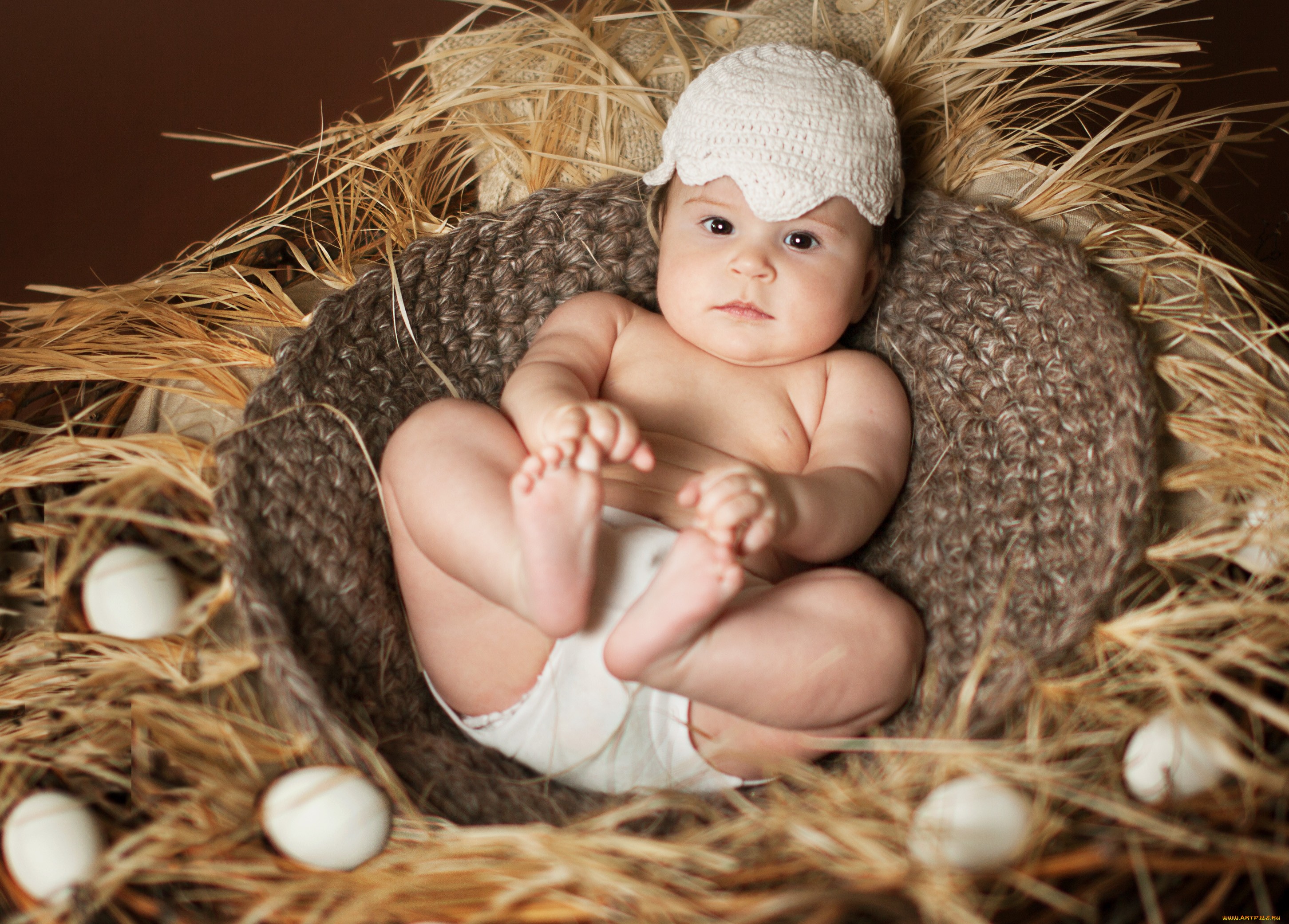 Photography Baby HD Wallpaper