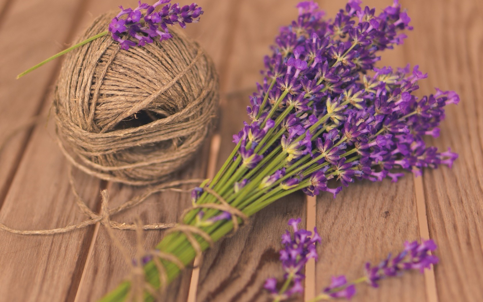 mood flowers lavender purple hd wallpaper   Magic4Wallscom
