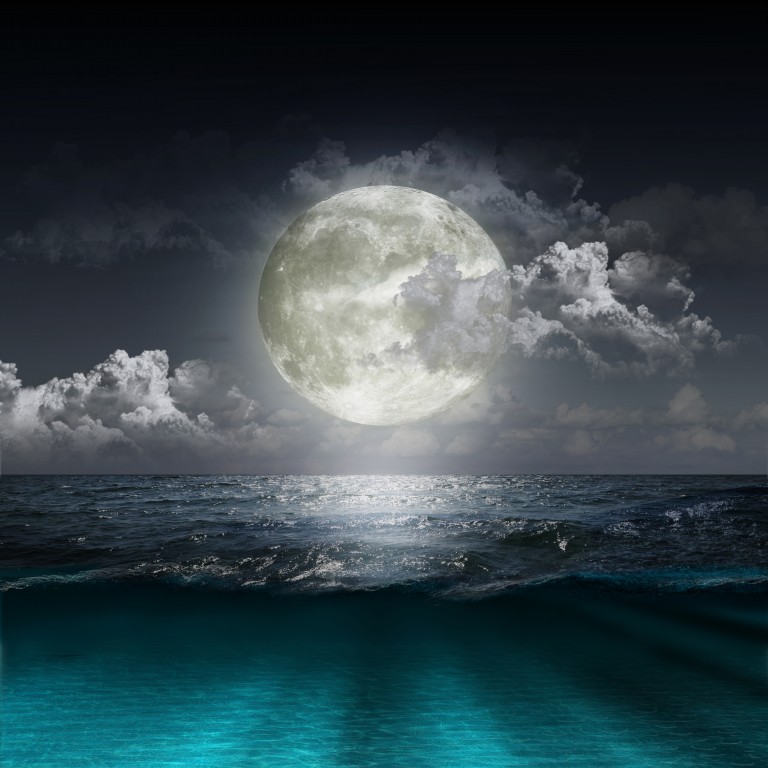 Beautiful Moonlight HD Wallpaper Elsoar