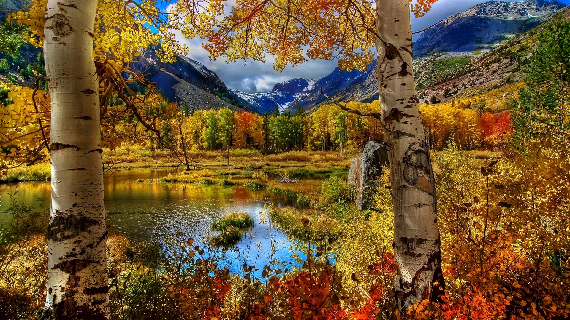 Best Incredible Fall Background