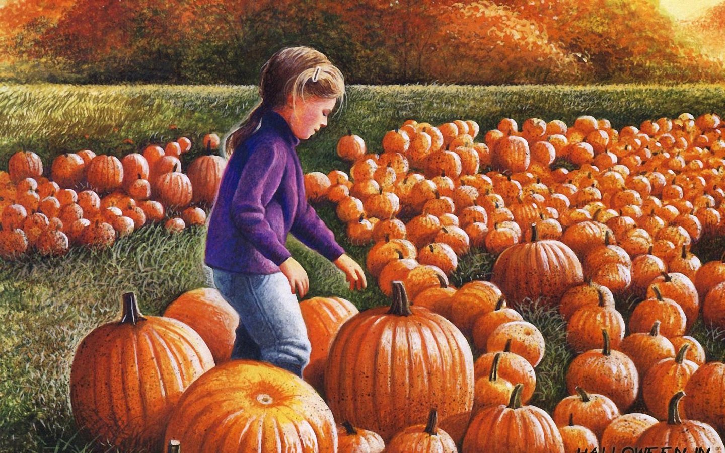 Funny Halloween Pumpkin Wallpaper For Wide Widescreen Whxga
