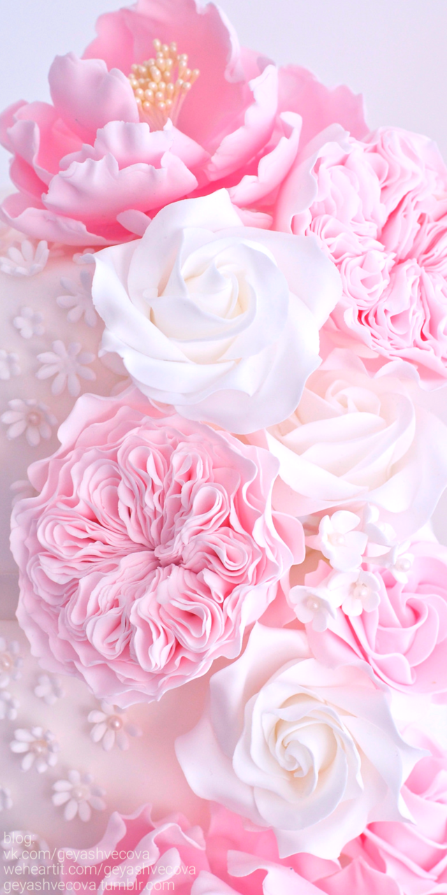 Art Background Beautiful Beauty Cake Cream Cupcakes