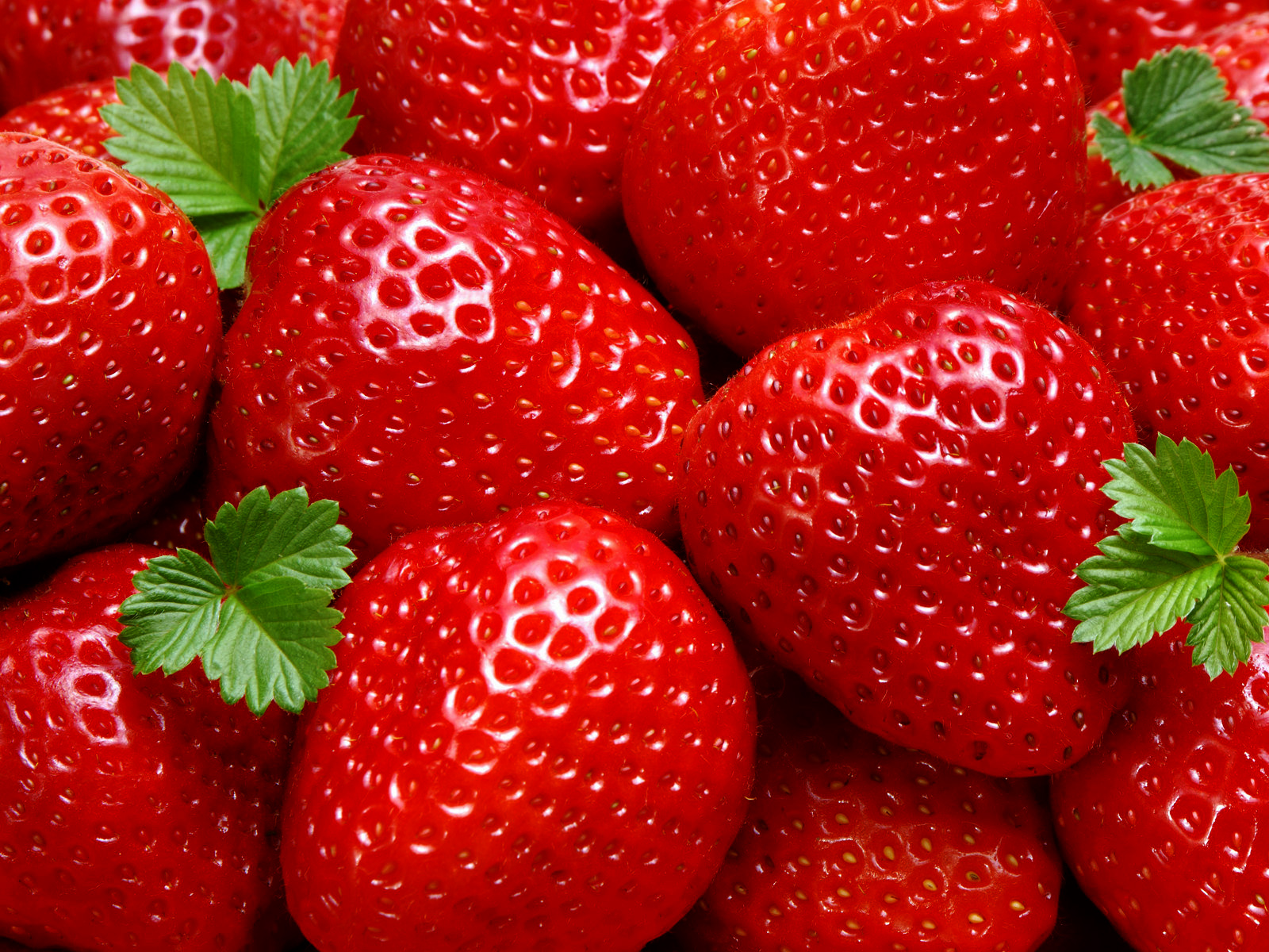 Fresh Strawberries Photography HD Wallpaper