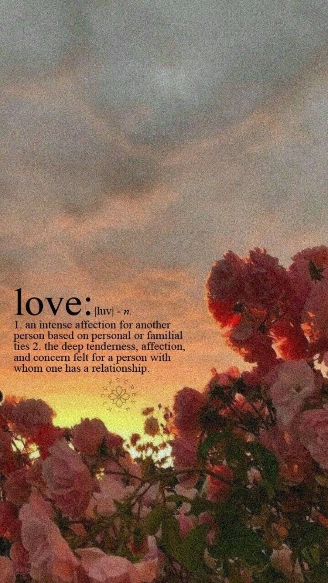 Top Love Aesthetic Wallpaper Full HD 4k To Use