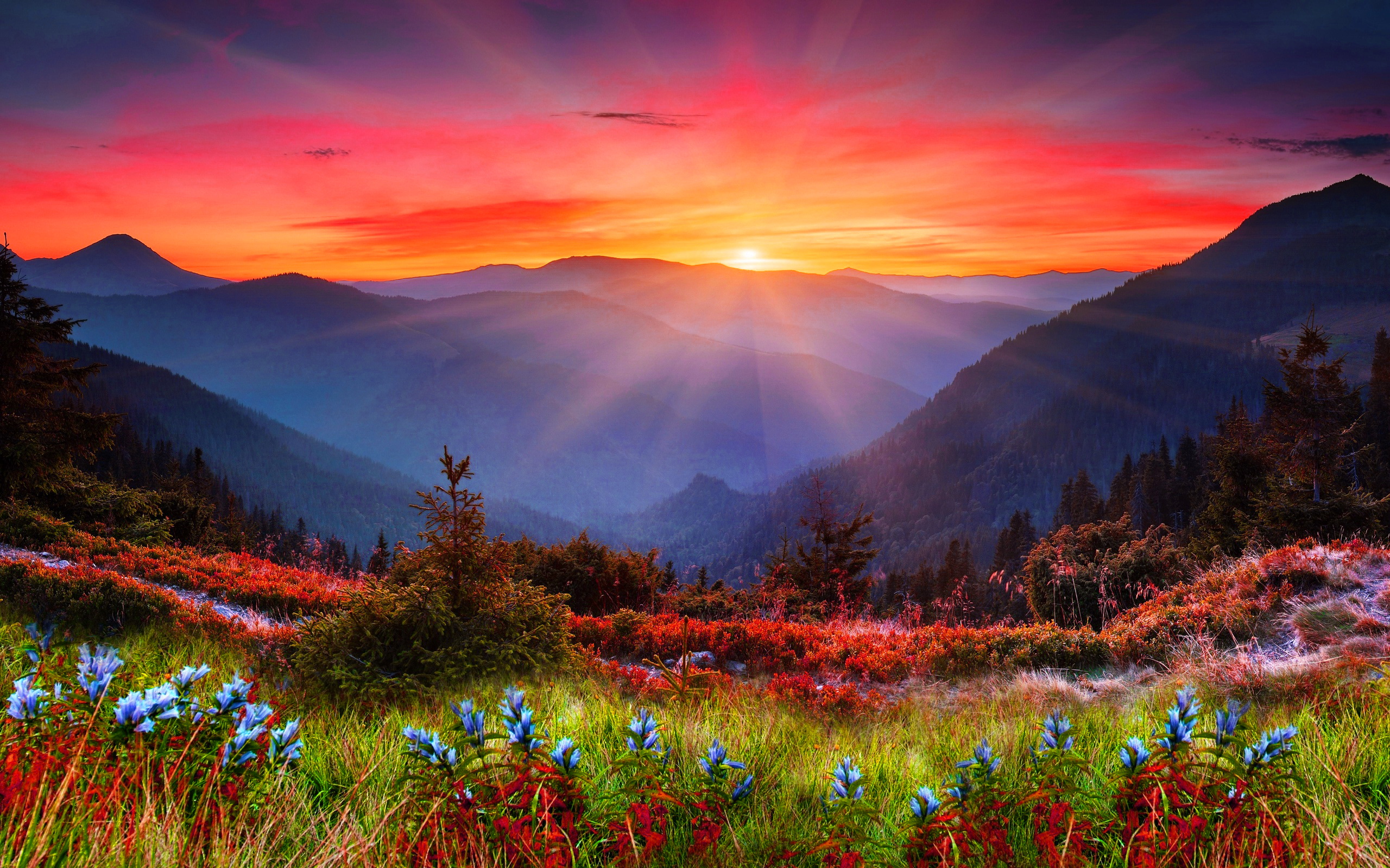 Mountain Sunset Wide Desktop Background 2560x1600