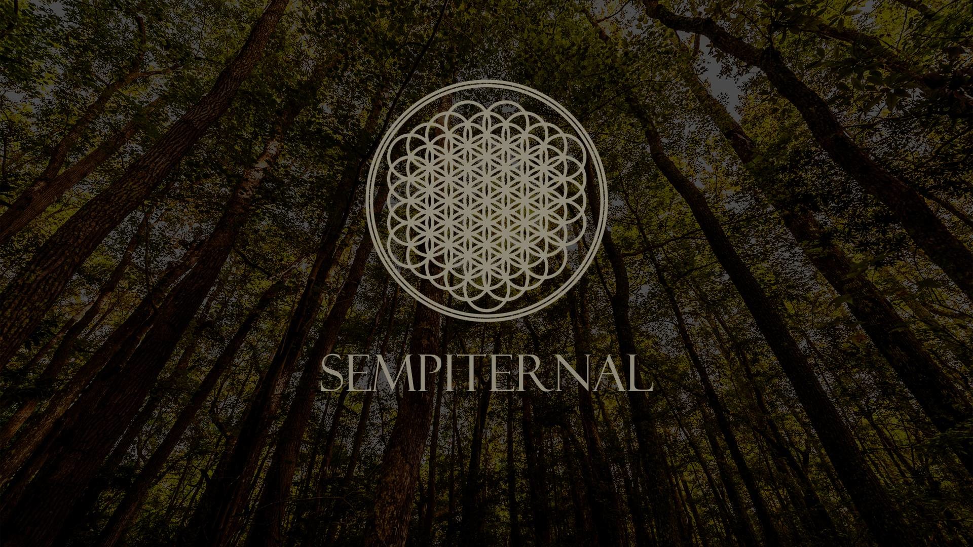 Bmth Background Pictures