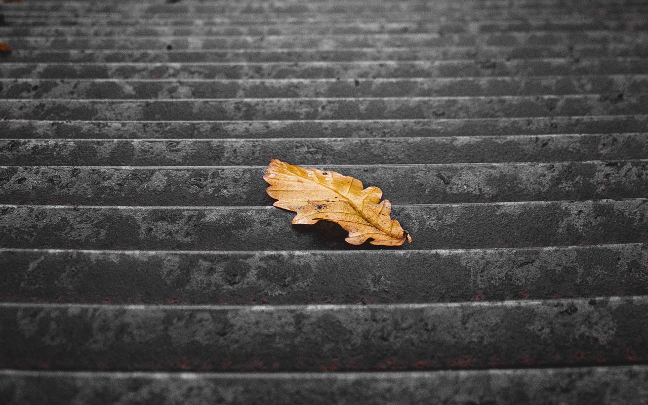 Download wallpaper 1280x800 stairs steps leaf dry autumn