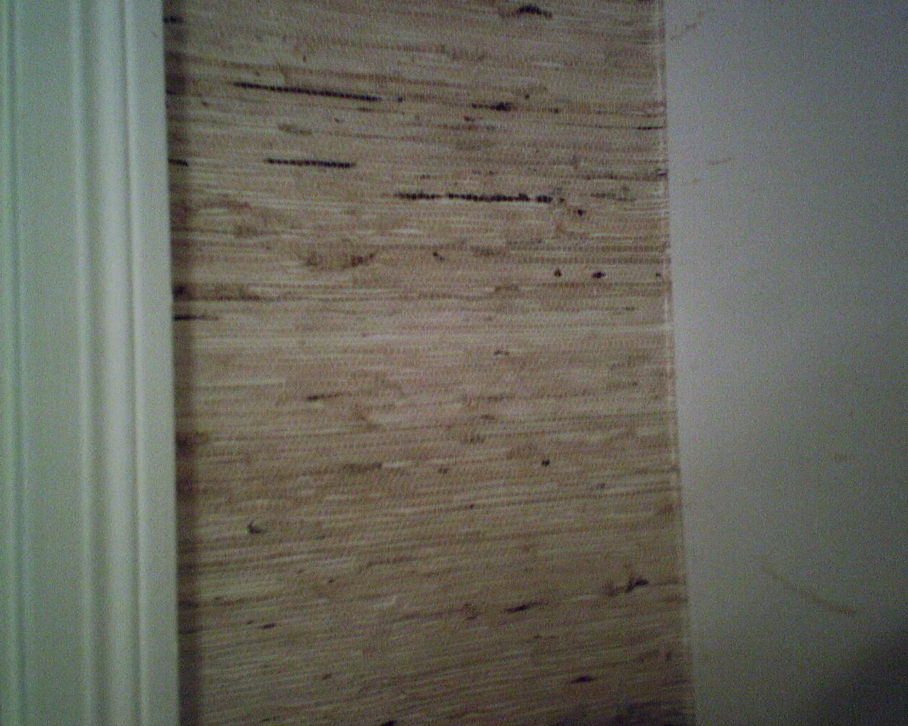 Free download This dining room and entry were originally papered with