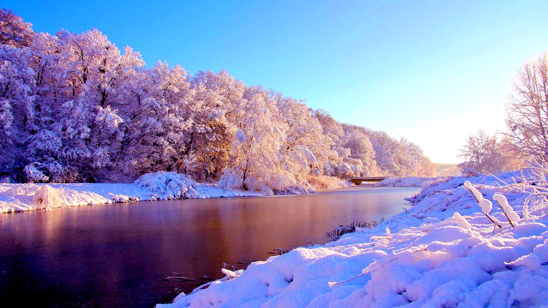 A serene winter landscape with snow-covered trees lining a calm river, bathed in the soft glow of sunrise