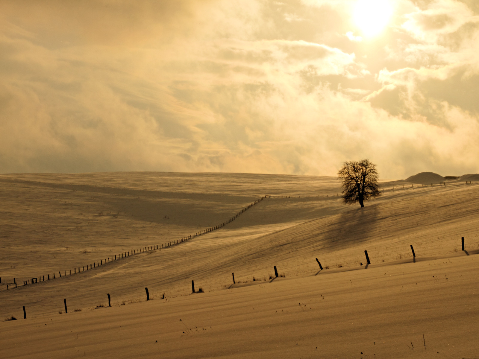Foto Wintersun In Hoher Aufl Sung Herunterladen Wallpaper