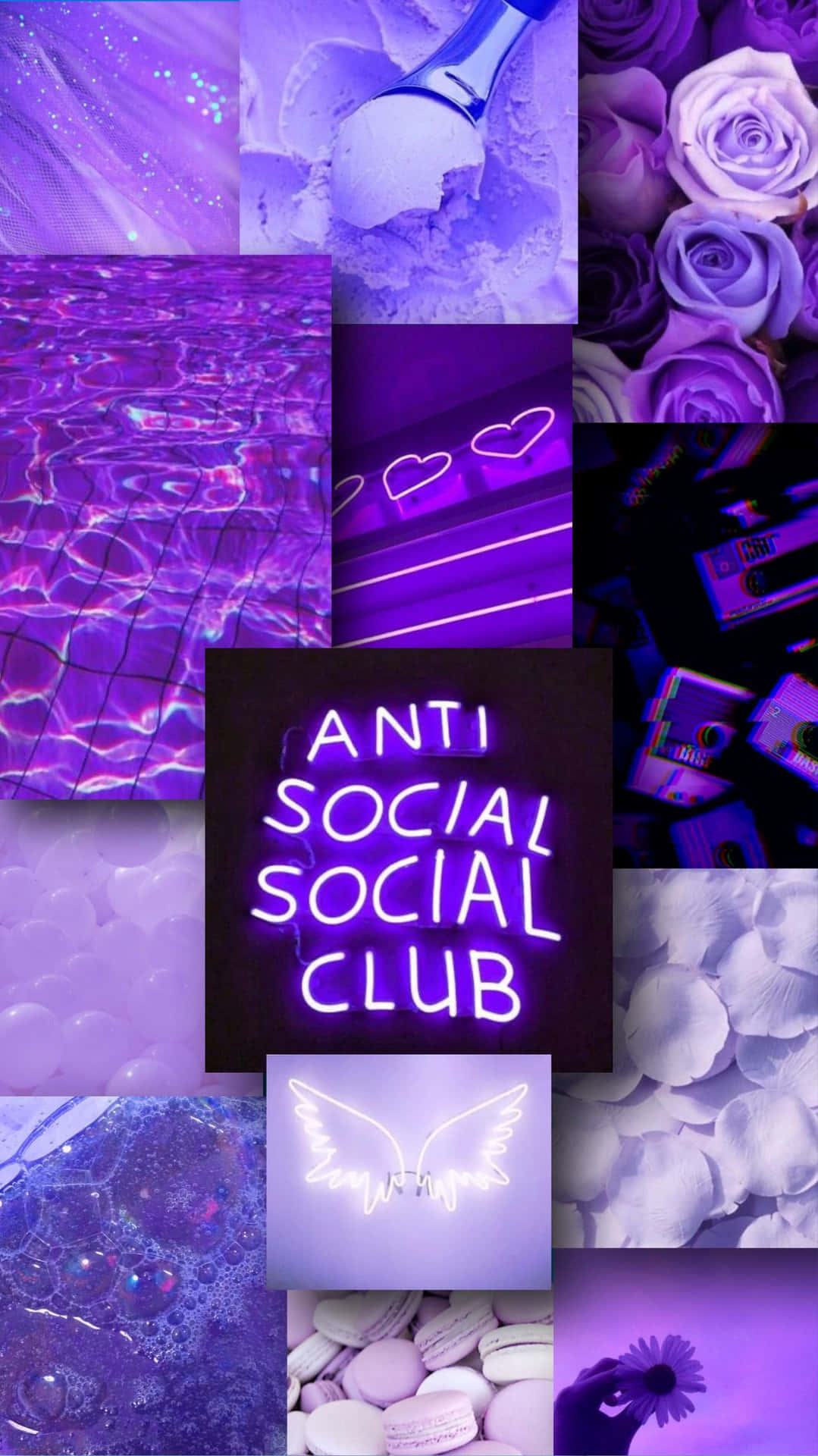 Purple iPhone Wallpaper