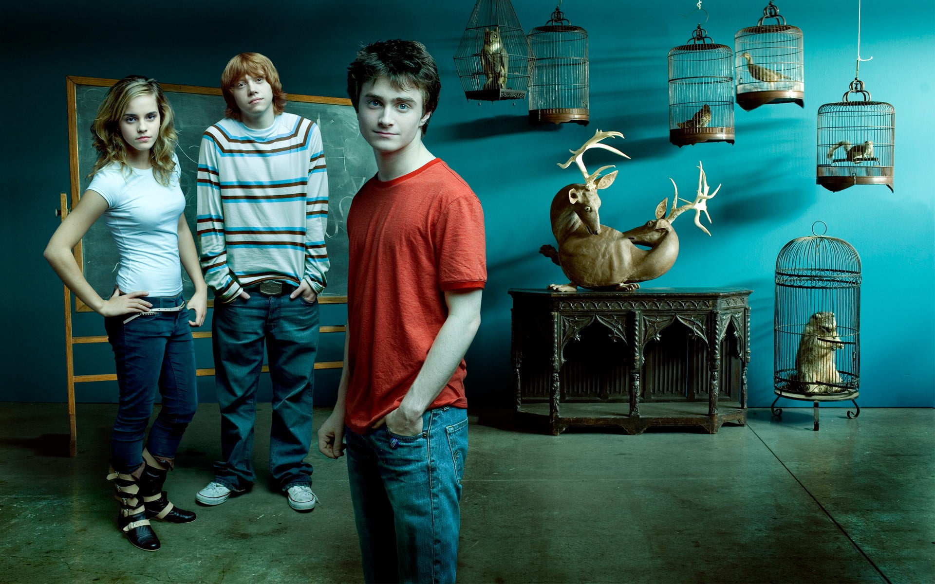 Men S Red Crew Neck Shirt Daniel Radcliffe Emma Watson Rupert