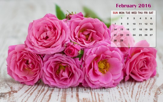 Month Wise Calendar Wallpaper February