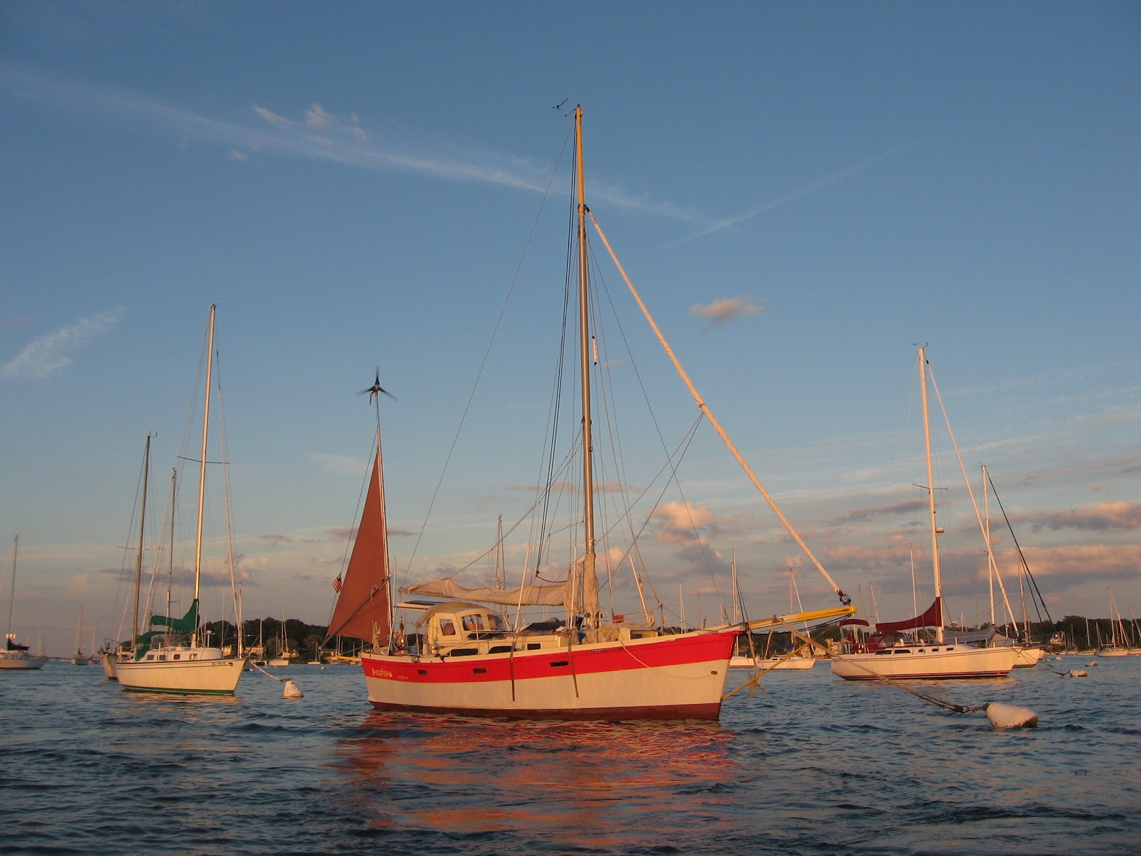 Cluborlov S V Hogfish Is