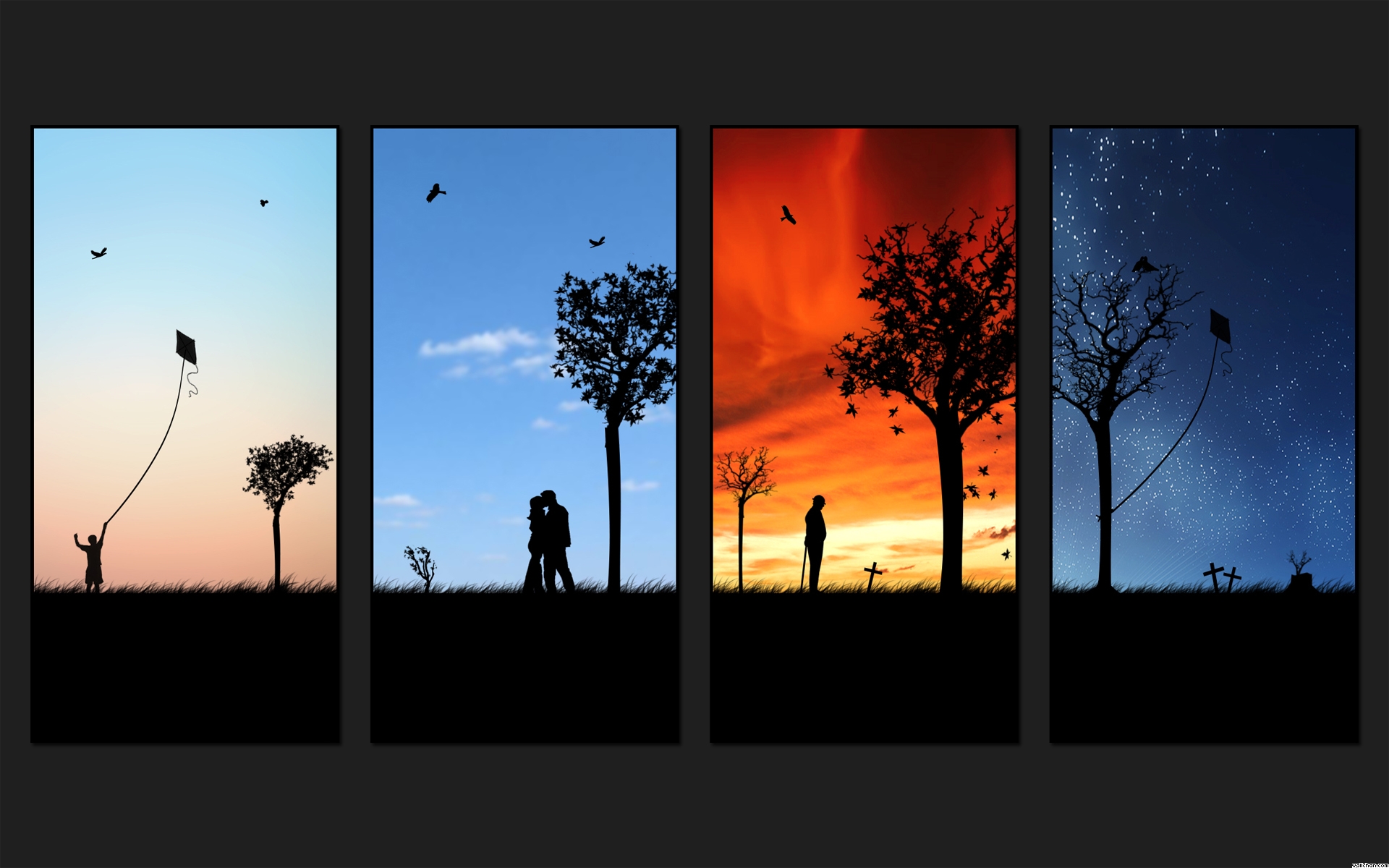 Stages Of Life Wallpaper