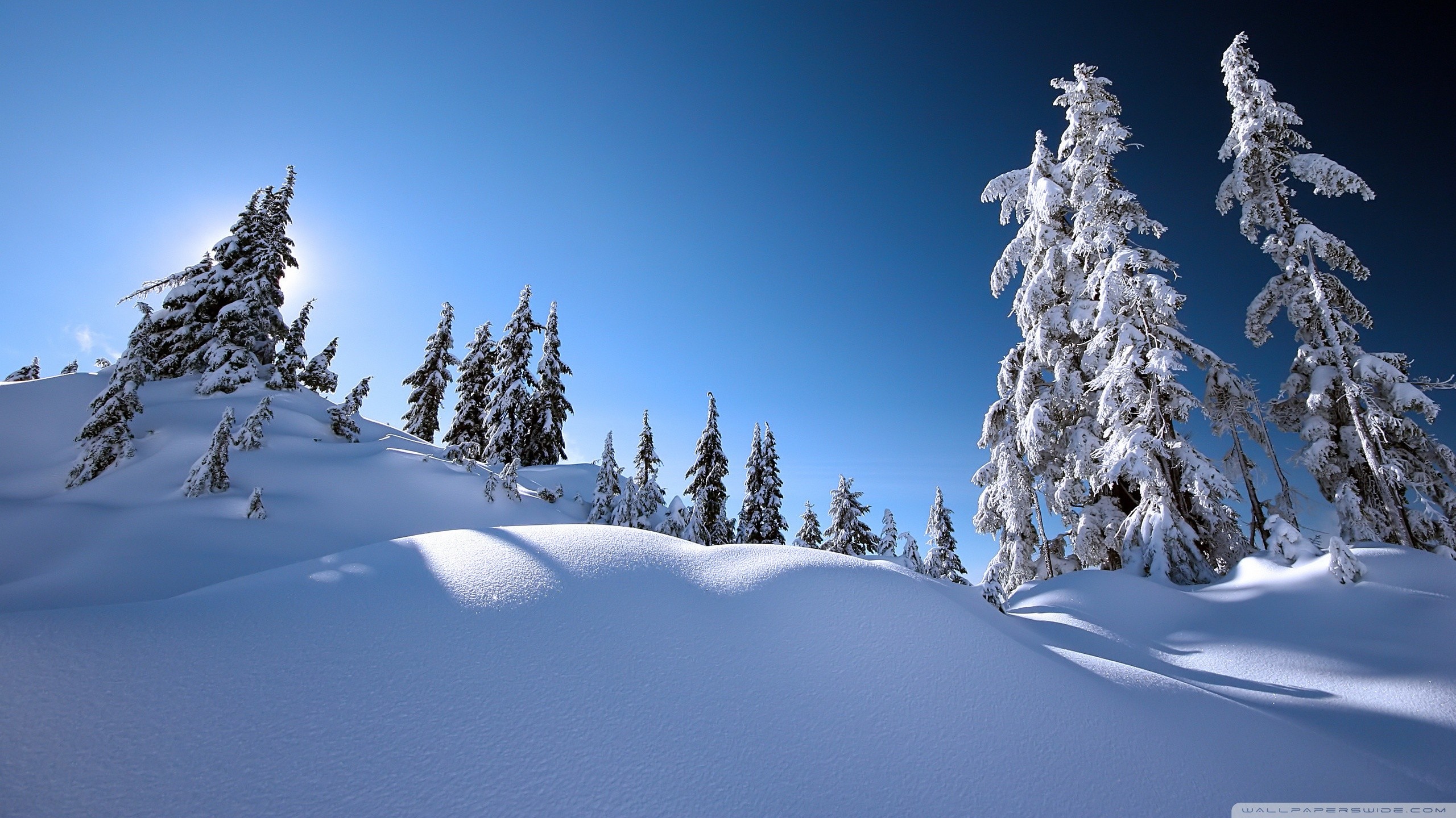 High Quality Winter Scenery Wallpaper Hq Background HD