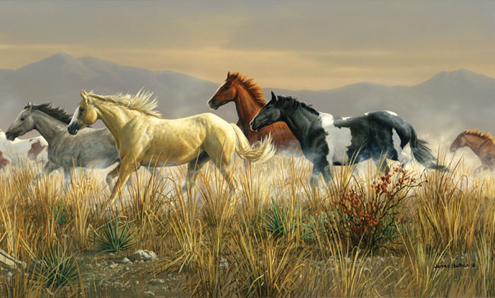 Free download My Top Collection Horse wallpaper murals 4 [700x422] for