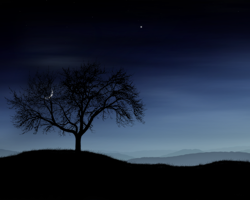Beautiful Night Sky Wallpaperwallpaper Background Wallpaper