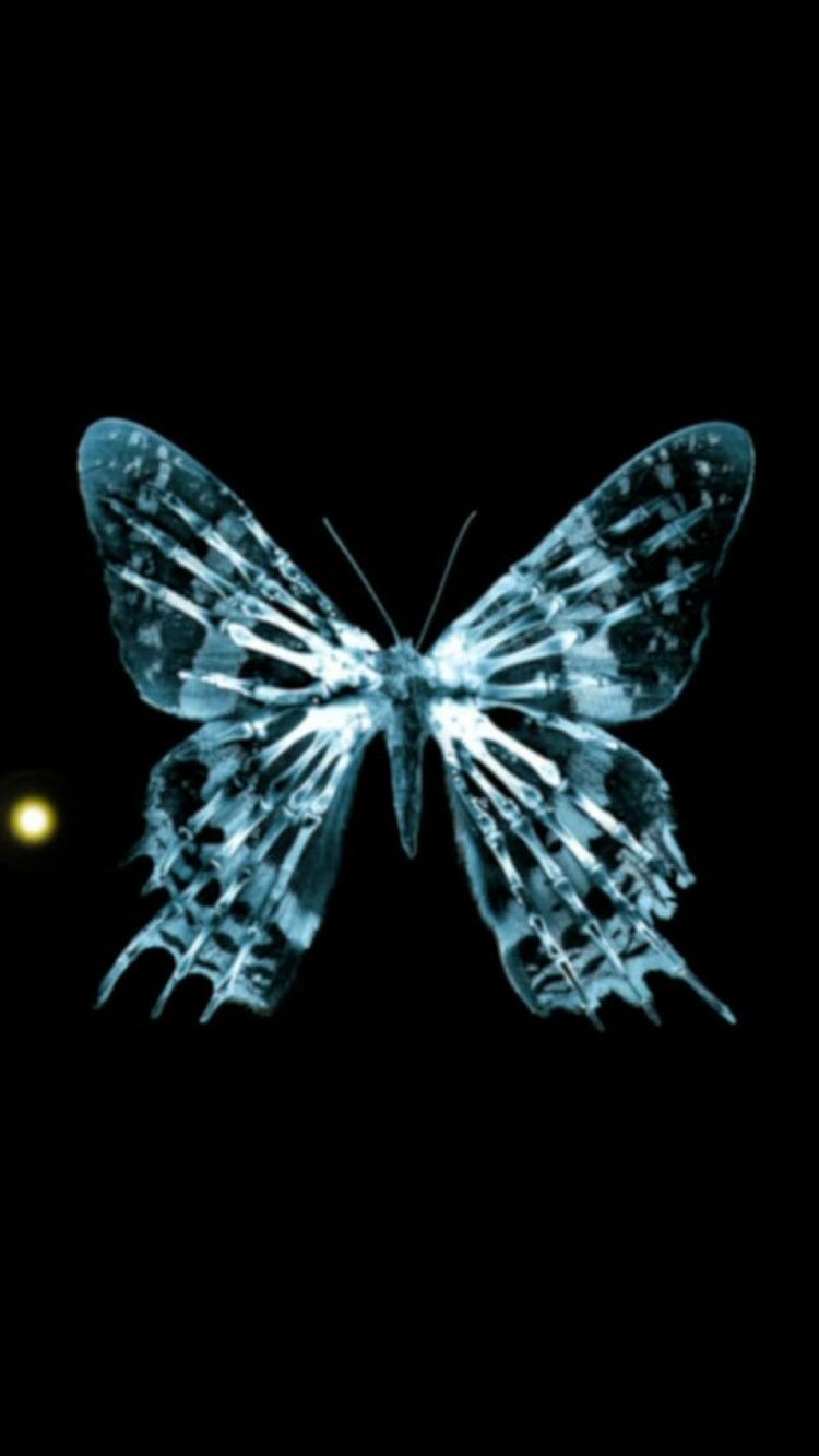 Xraying A Butterfly From iPhone iPhone6wallpaper 3d