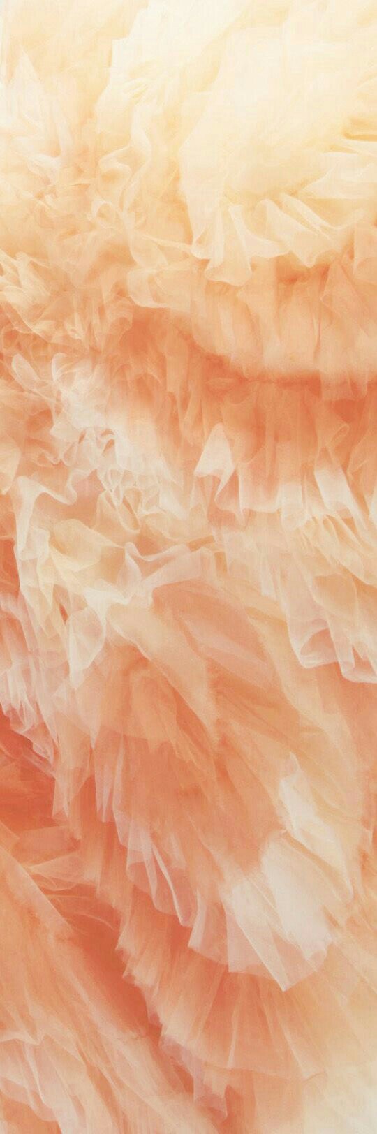 Daydream Believer On Just Peachy Wallpaper