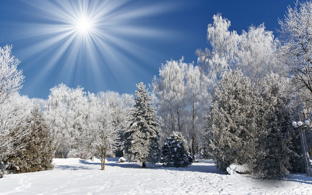 Winter Beautiful Rime Scenery Wallpaper Landscape