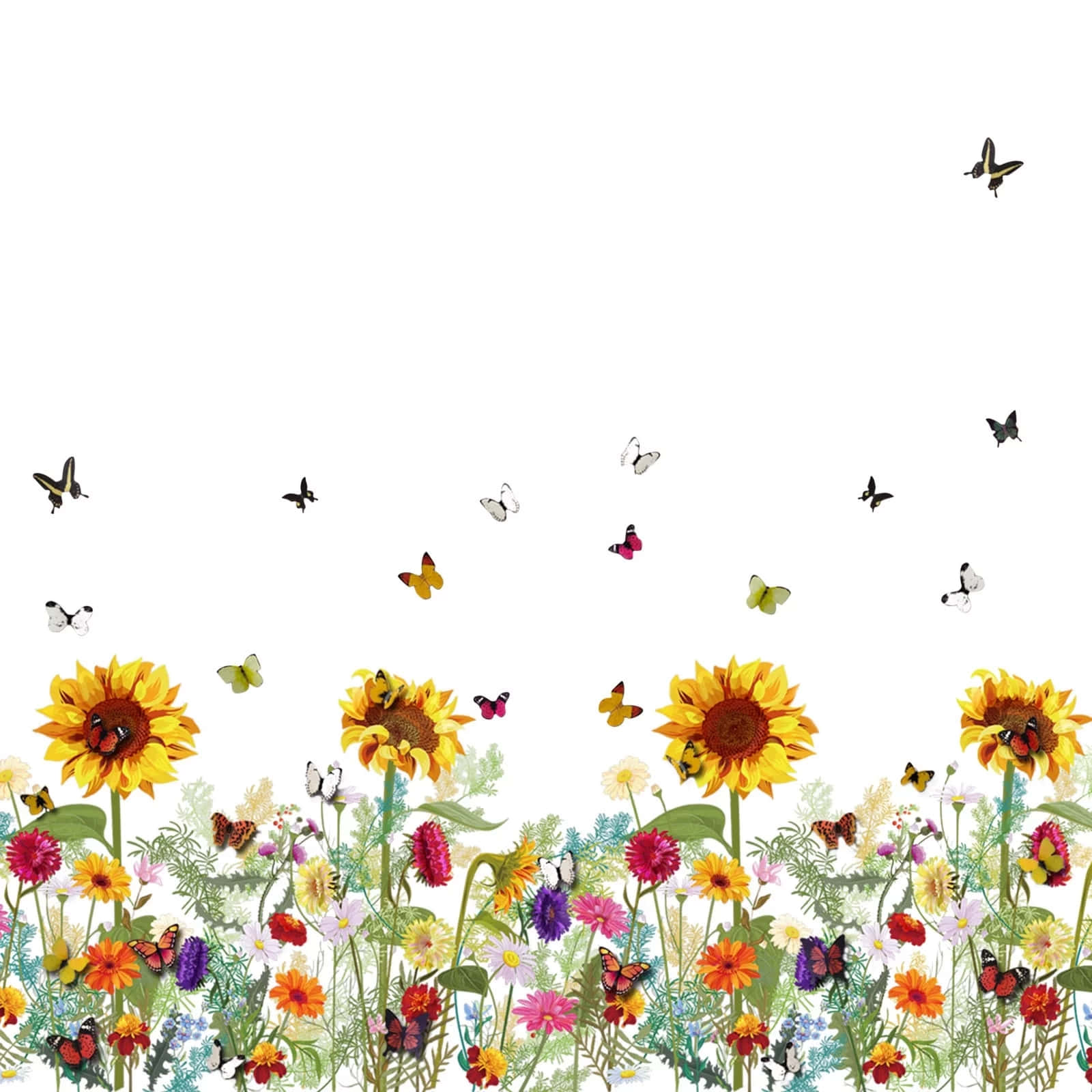 Sunflower And Butterfly Wallpaper