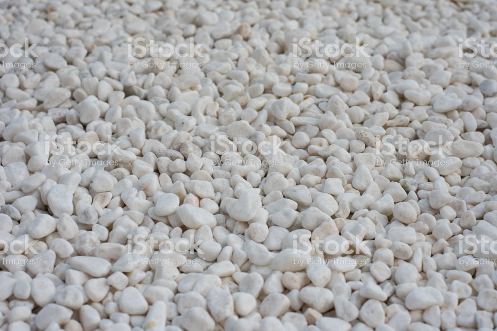 Free download White Stone Floor In The Garden White Stone Background  Texture [1024x683] for your Desktop, Mobile & Tablet | Explore 31+ Whitestone  Background |