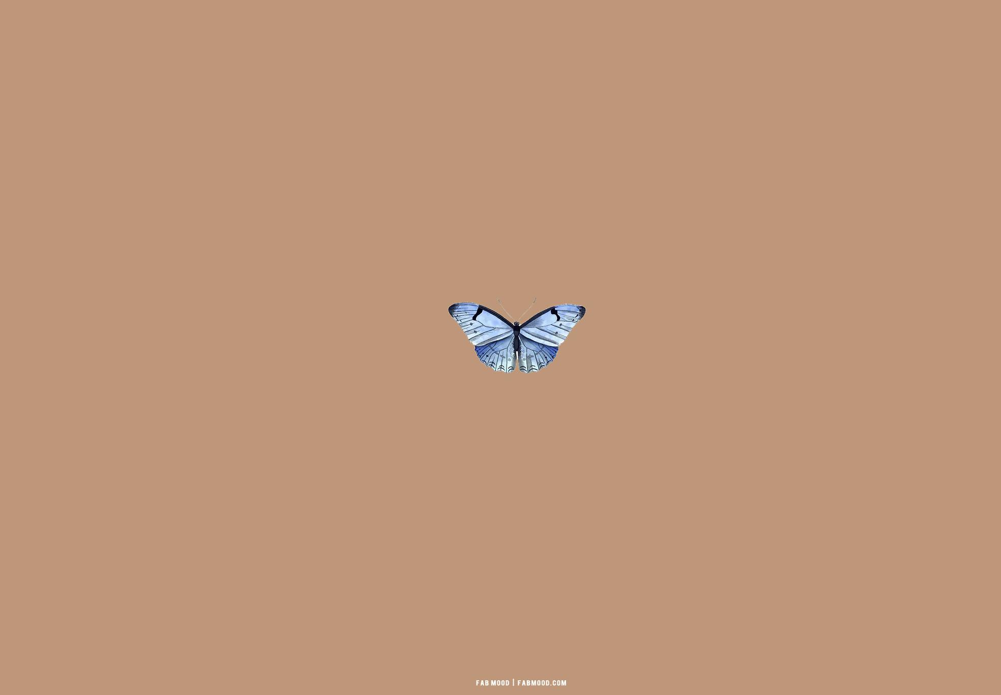 25 Brown Aesthetic Wallpaper for Laptop Blue Butterfly Aesthetic