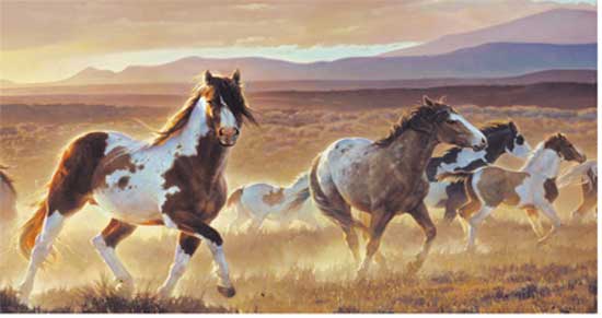 western horse wallpaper
