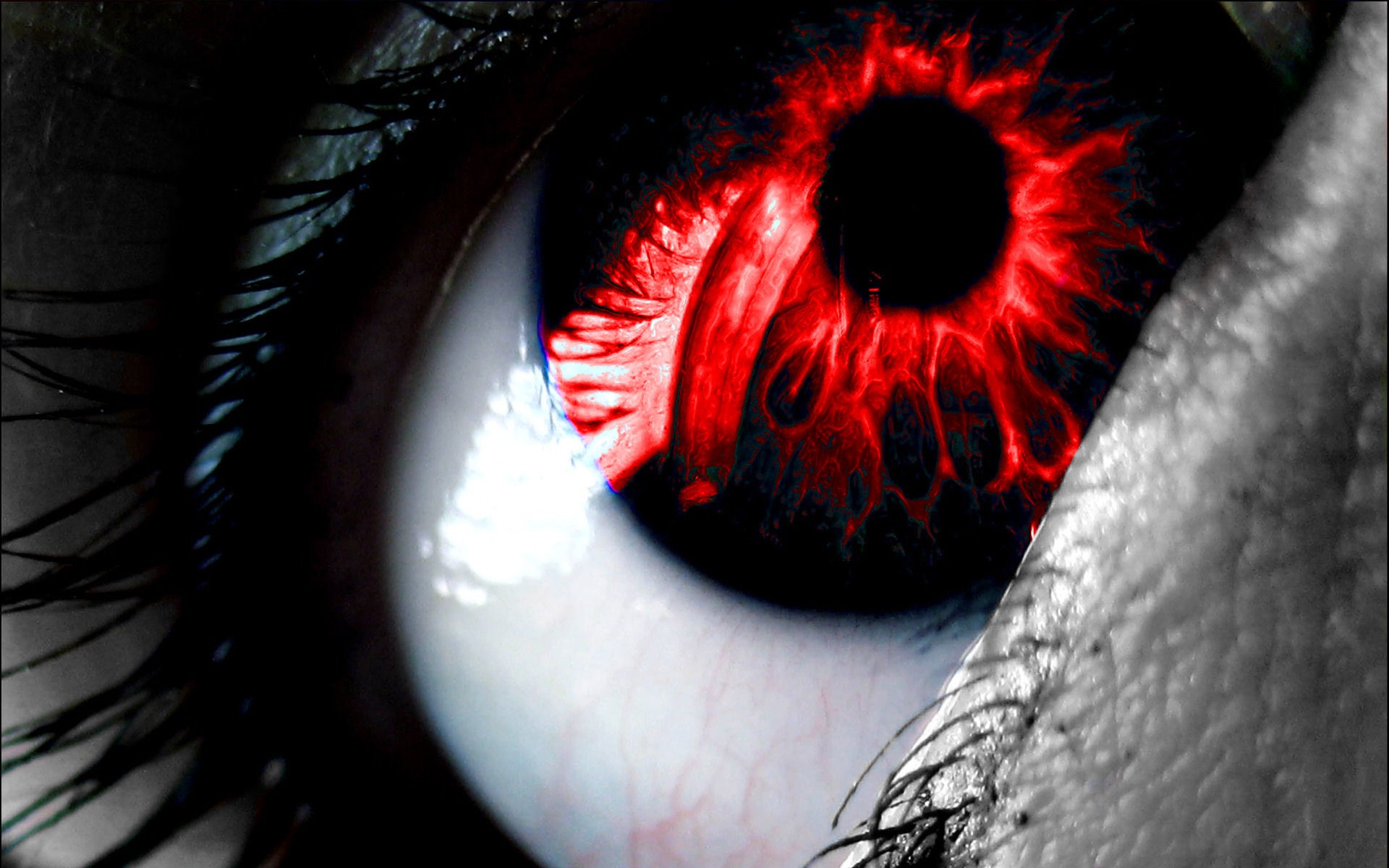 Closeup View Of Black Red Eyes HD Evil Eye Wallpapers  HD Wallpapers  ID  81717