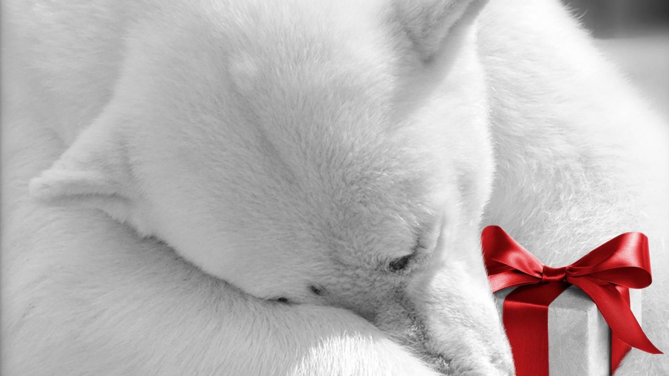 Polar Bear Holding Christmas Present Wallpaper