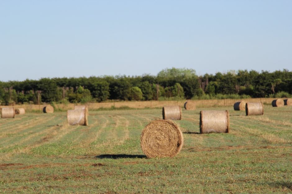 Hay Bales In A Top End Paddock Abc News Australian Broadcasting