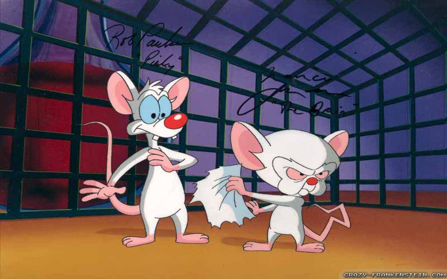 Pinky and The Brain wallpapers   Crazy Frankenstein