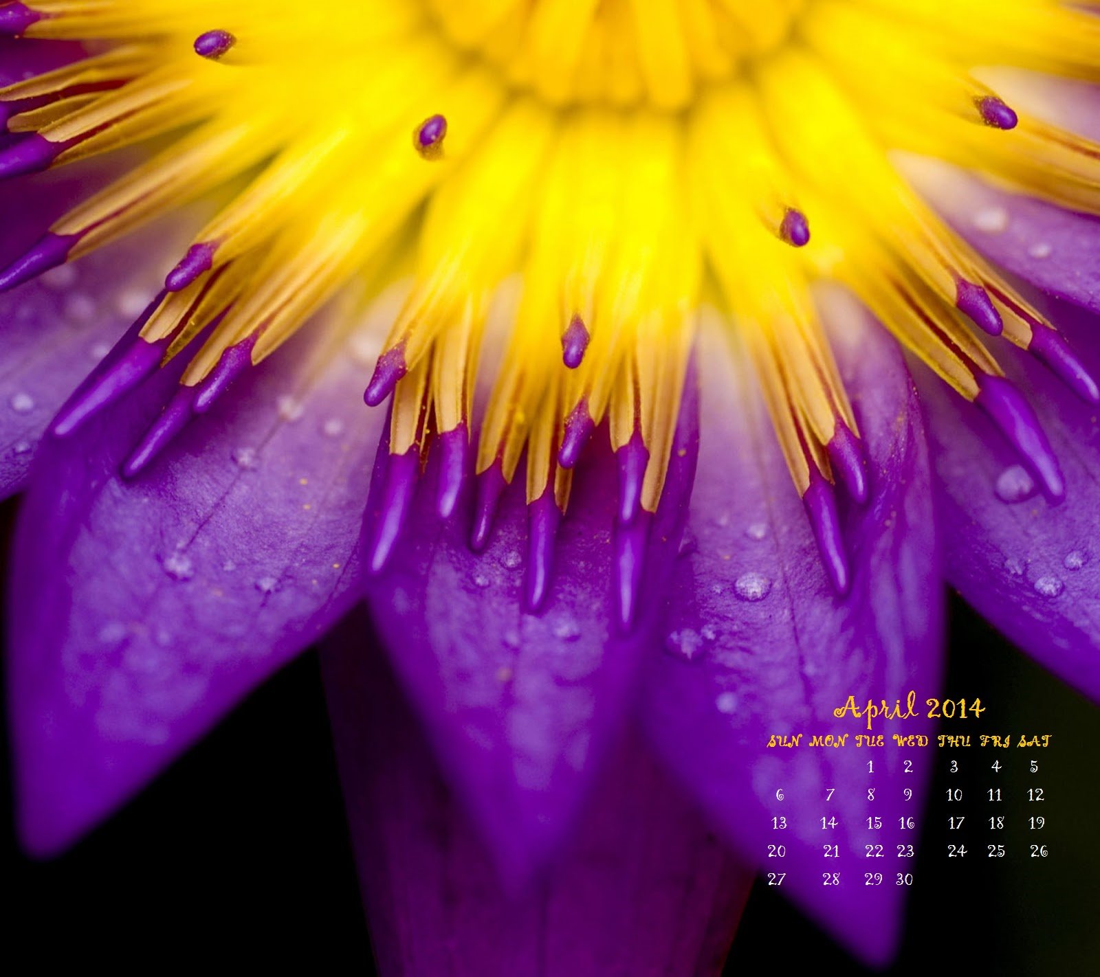 April 2014 Desktop Calendar Wallpaper 1600x1422