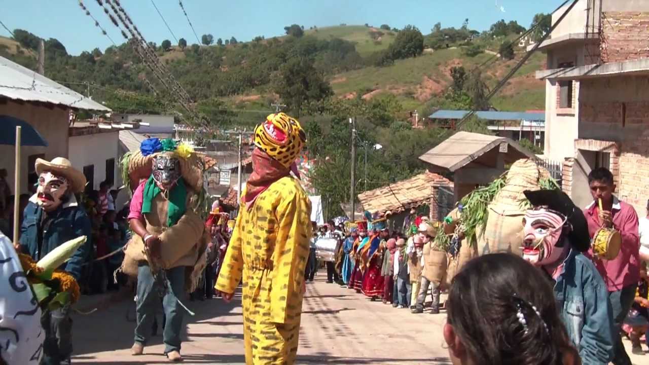Fiesta San Antonio Abad Ahuacuotzingo