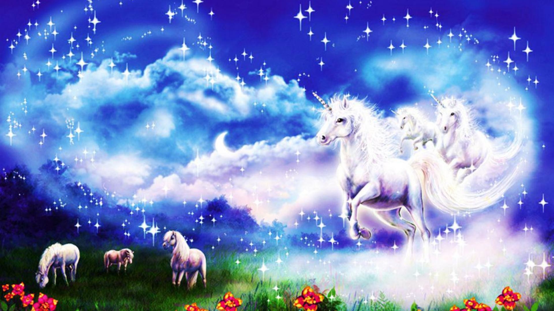 Unicorn Desktop Background Wallpaper