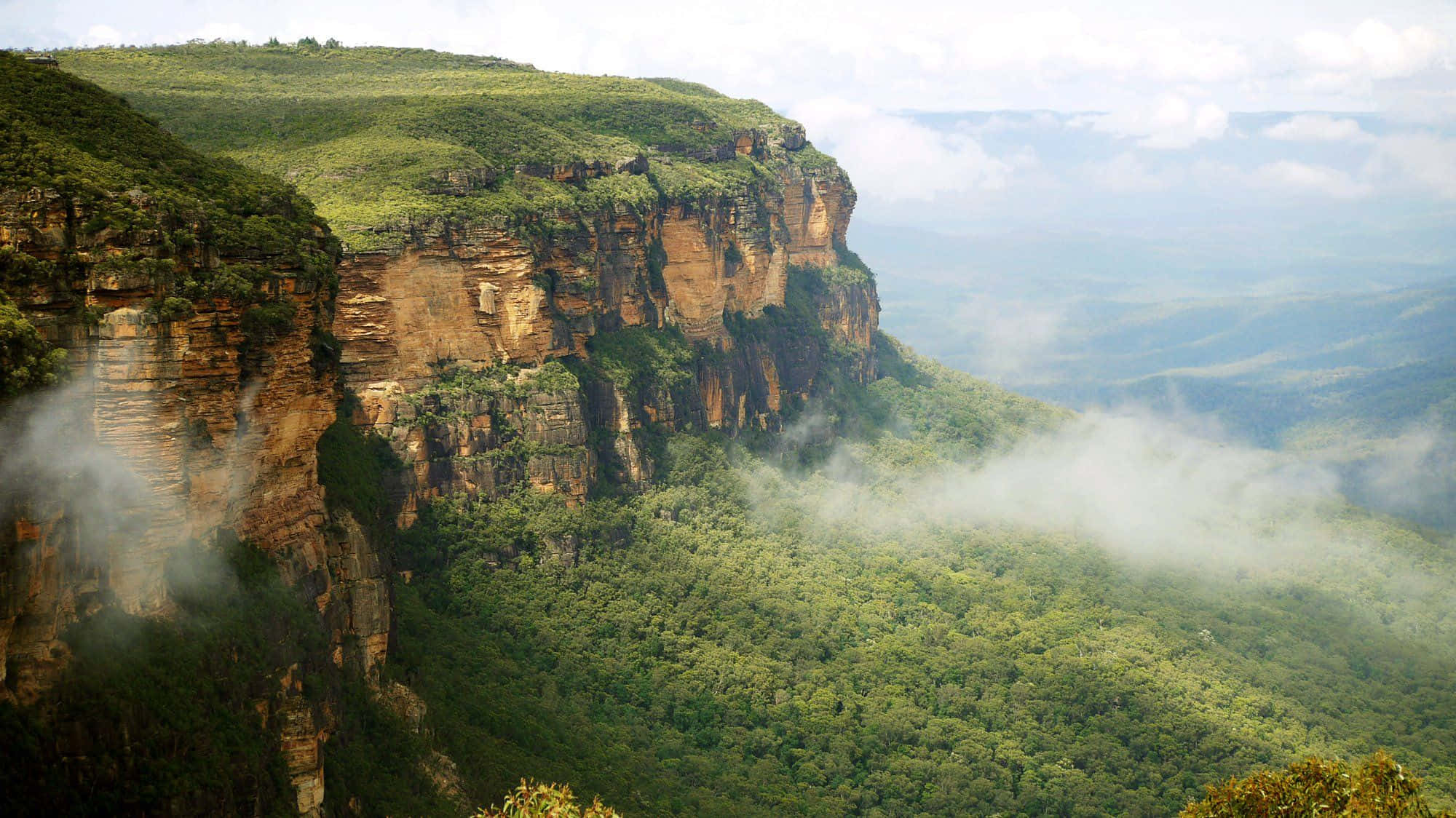 Blue Mountains National Park X Wallpaper