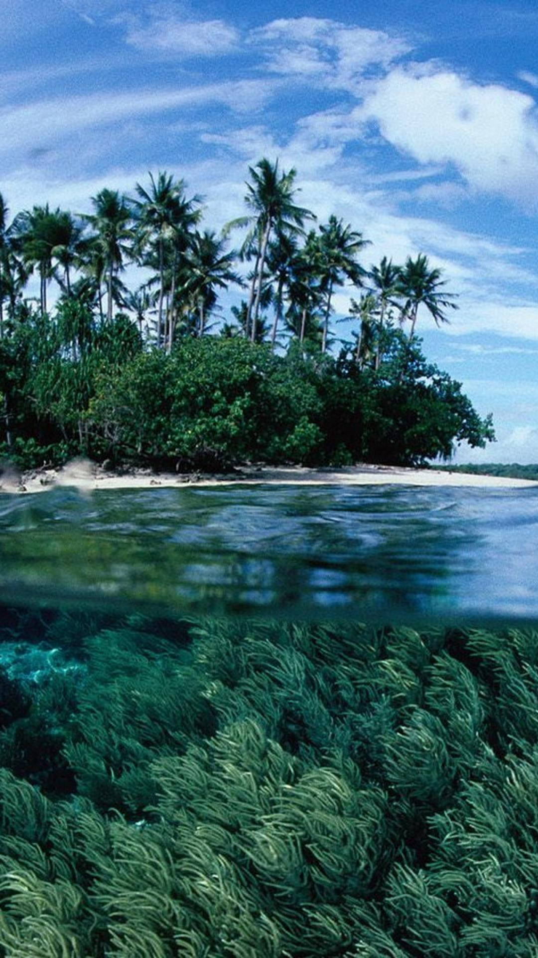 Papua New Guinea Crystal Clear Wallpaper