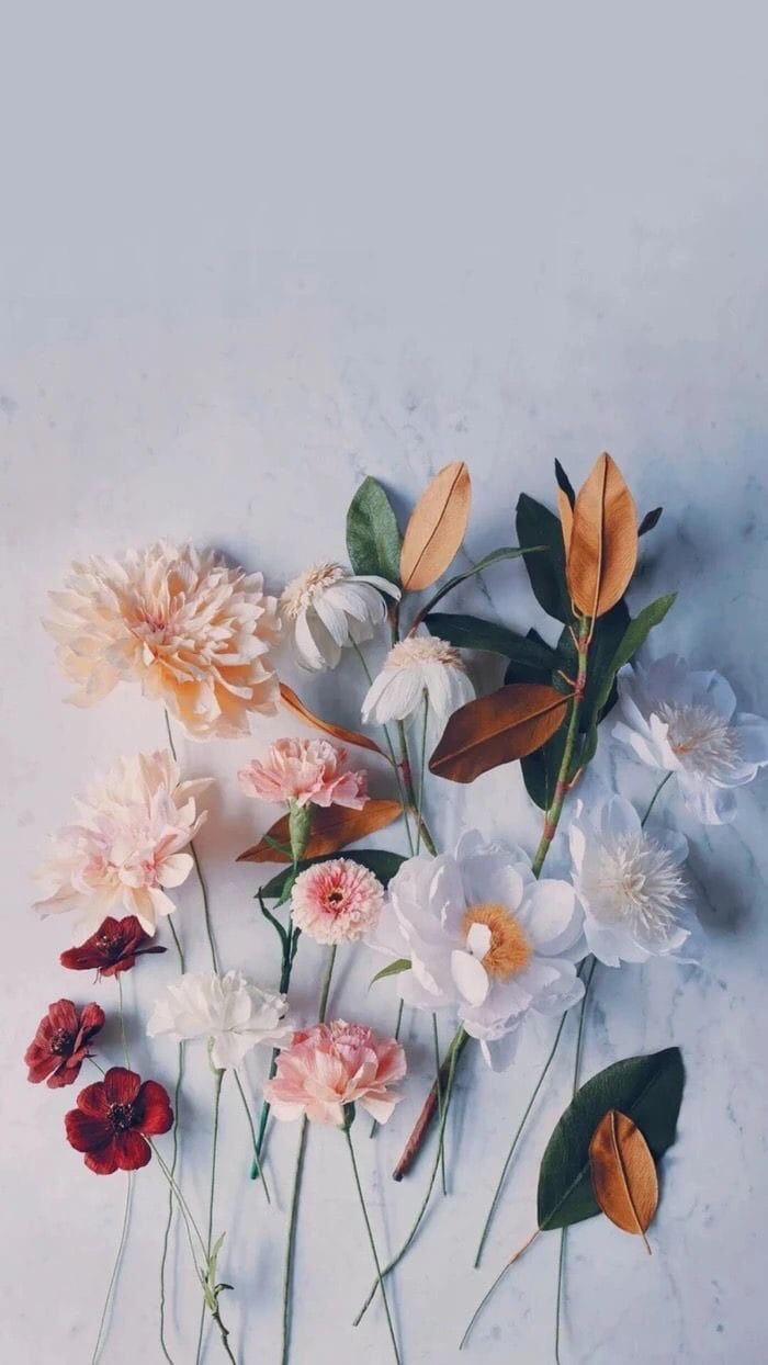 Image About Flowers In Wallpaper iPhone By Luisa Bello