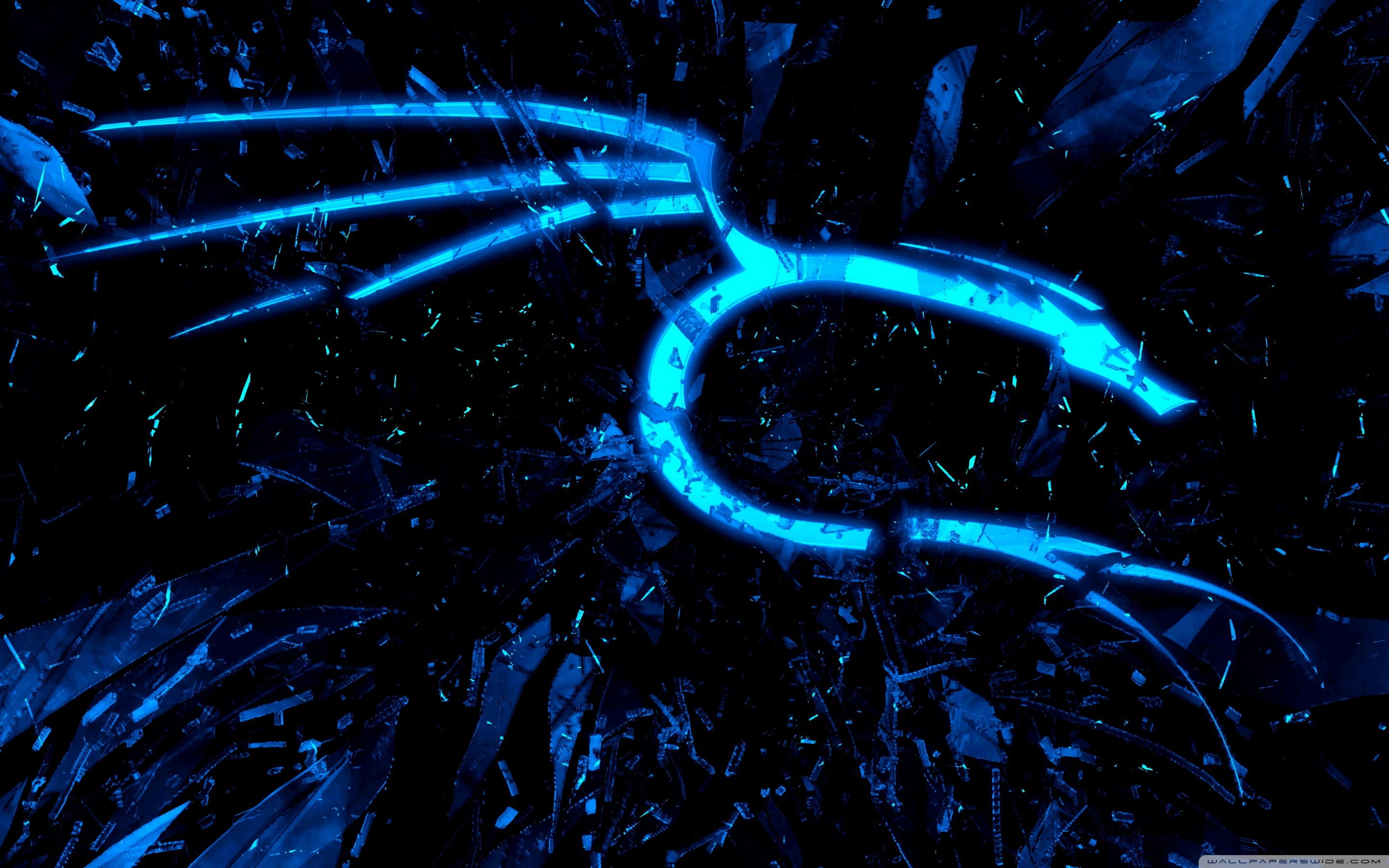 Kali Linux Wallpaper