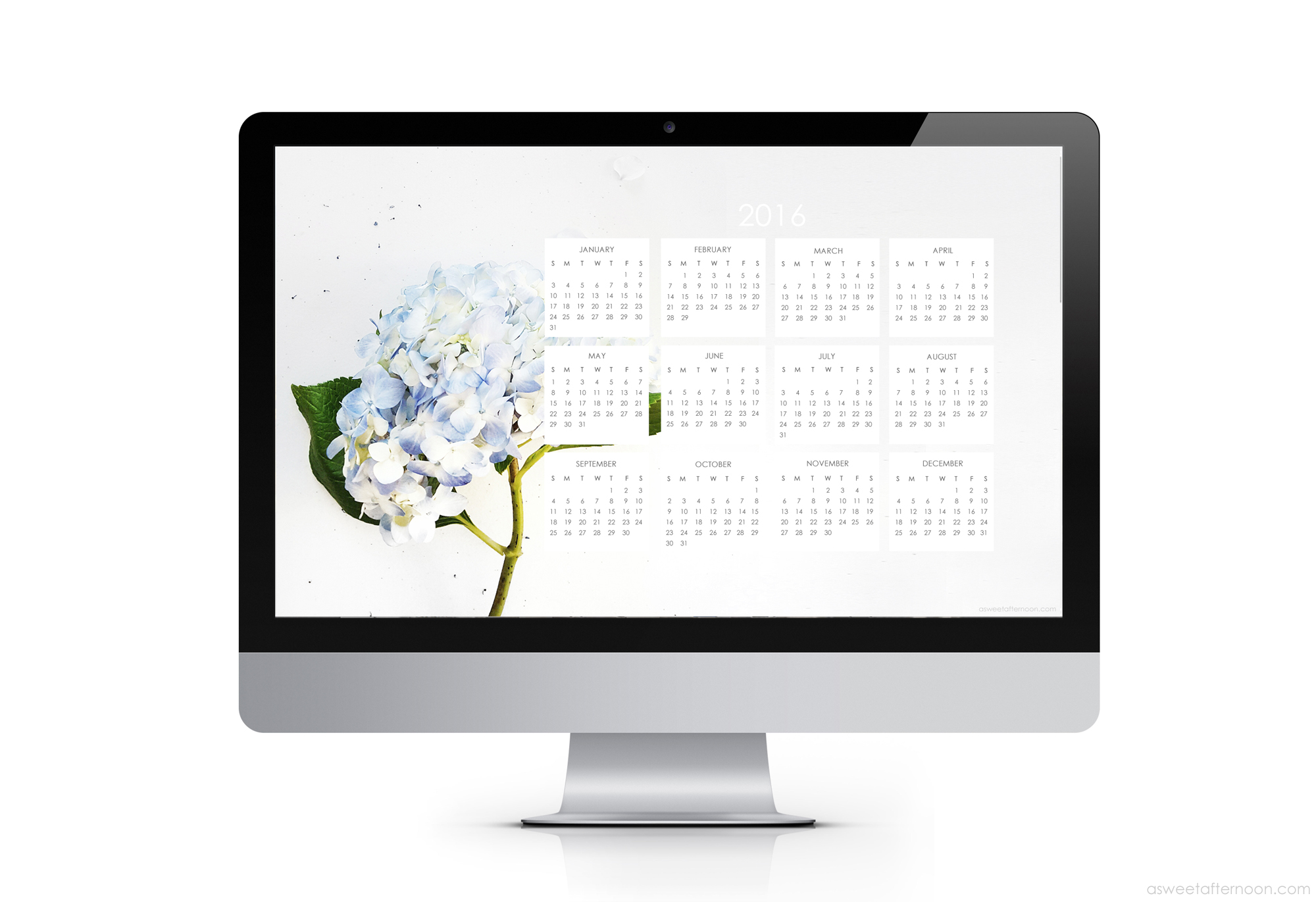 Calendar Blue Hydrangea Desktop Wallpaper